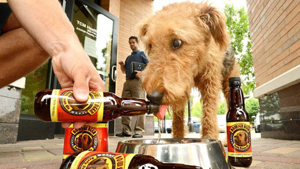 bowser-beer-for-dogs-1